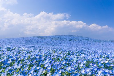 怎样解决“说话没有条理、没有重点”的问题?