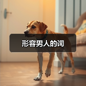 形容男人的词
