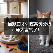 幽默口才训练案例分析:马太客气了!(图3) 幽默口才训练案例分析:马太客气了!(图3)