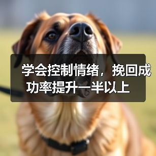 学会控制情绪,挽回成功率提升一半以上(图2) 学会控制情绪,挽回成功率提升一半以上(图2)