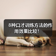 8种口才训练方法的作用效果比较! 8种口才训练方法的作用效果比较!