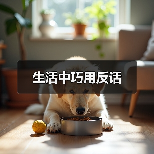 反话沟通技巧：表达爱意与缓和气氛的智慧