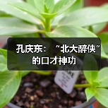 孔庆东：“北大醉侠”的口才神功（图3）