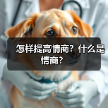 怎样提高情商？什么是情商？