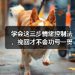 学会这三步情绪控制法，挽回才不会功亏一篑（图2）