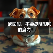 挽回时，不要忽略时间的魔力！（图4）