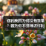 你的挽回为何没有效果?因为你不懂得这样利用“人性”心理(图3) 你的挽回为何没有效果?因为你不懂得这样利用“人性”心理(图3)