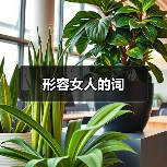 形容女性性格外貌褒贬词分类大全