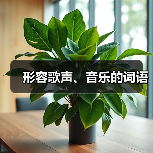 口才训练提升声音魅力与表达技巧