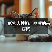 形容人性格、品质的形容词