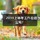 高效撰写工作总结的技巧与结构要点