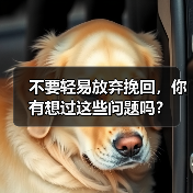 不要轻易放弃挽回,你有想过这些问题吗?(图1) 不要轻易放弃挽回,你有想过这些问题吗?(图1)