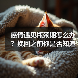 感情遇见瓶颈期怎么办?挽回之前你是否知道两个人相处的界限?(图1) 感情遇见瓶颈期怎么办?挽回之前你是否知道两个人相处的界限?(图1)