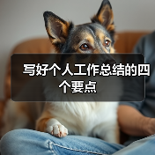 写好个人工作总结的四个要点（图2）