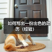 如何写出出色简历：避免错误与提升技巧