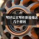 写好公文写作需遵循这几个原则(图3) 写好公文写作需遵循这几个原则(图3)