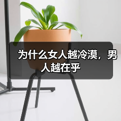 为什么女人越冷漠,男人越在乎(图2) 为什么女人越冷漠,男人越在乎(图2)