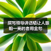 撰写领导讲话稿让人眼前一亮的套用金句(图3) 撰写领导讲话稿让人眼前一亮的套用金句(图3)