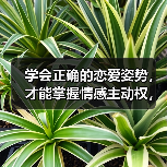 学会正确的恋爱姿势,才能掌握情感主动权,让男人珍惜你的好(图1) 学会正确的恋爱姿势,才能掌握情感主动权,让男人珍惜你的好(图1)