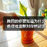 挽回的你要知道为什么他很难重新对你燃起激情(图2) 挽回的你要知道为什么他很难重新对你燃起激情(图2)