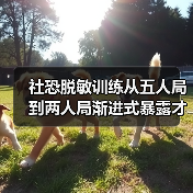 社恐脱敏训练从五人局到两人局渐进式暴露才有效(图2) 社恐脱敏训练从五人局到两人局渐进式暴露才有效(图2)