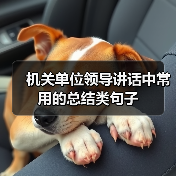 机关单位领导讲话中常用的总结类句子（图2）