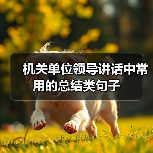 机关单位领导讲话中常用的总结类句子（图3）
