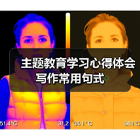主题教育学习心得体会写作常用句式（图1）