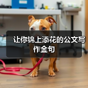 让你锦上添花的公文写作金句（图1）