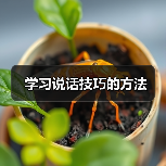 学习说话技巧的方法