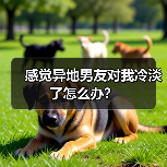 感觉异地男友对我冷淡了怎么办？