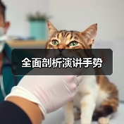 全面剖析演讲手势(图2) 全面剖析演讲手势(图2)