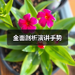 全面剖析演讲手势(图3) 全面剖析演讲手势(图3)