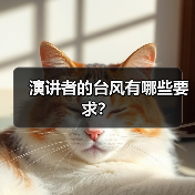 演讲者的台风有哪些要求？（图4）
