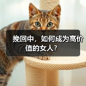 挽回中，如何成为高价值的女人？