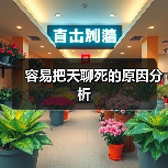 不会聊天的常见错误解析，提升交流技巧的关键
