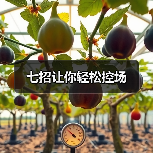 七招让你轻松控场（图4）