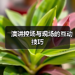 演讲控场与现场的互动技巧（图3）