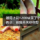 饭局上花1200块买了个教训：爸妈天天吵你却在相亲中疯狂寻找不吵架的人（图3）