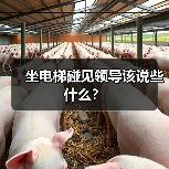 坐电梯碰见领导该说些什么？（图4）