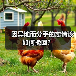 因异地而分手的恋情该如何挽回？（图4）