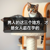 男人需知：女人最在意的三个关键点及关系经营之道