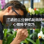 演讲中的心理策略：汪涵如何巧妙掌控危机