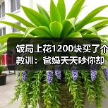 饭局上花1200块买了个教训：爸妈天天吵你却在相亲中疯狂寻找不吵架的人（图3）