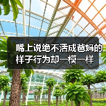 为何我们总不自觉模仿父母的习惯？
