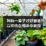 妈妈一辈子讨好爸爸所以你也在相亲中卑微（图3）