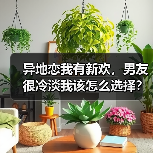 异地恋我有新欢，男友很冷淡我该怎么选择？（图2）
