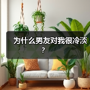 为什么男友对我很冷淡？（图2）