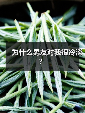 为什么男友对我很冷淡？（图3）