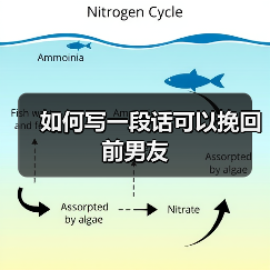 如何写一段话可以挽回前男友